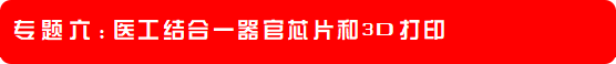 2024年4月20-21日·深圳·OSC 2024第三届粤港澳类器官和器官芯片产业化大会-肽度TIMEDOO