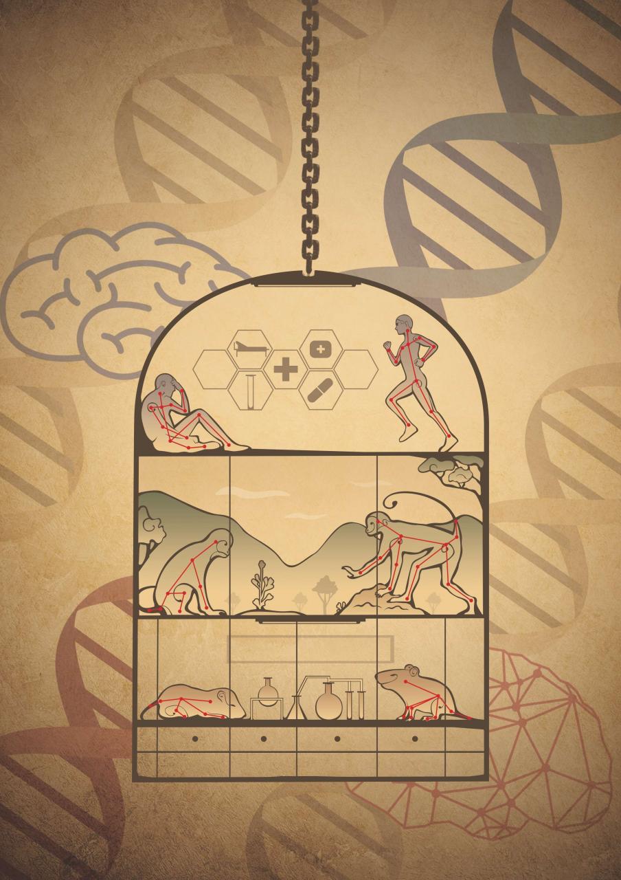 深圳科学家发明智能工具,帮助破解复杂行为和精神疾病谜题-肽度TIMEDOO