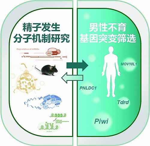 揭秘基因组“暗物质”-肽度TIMEDOO