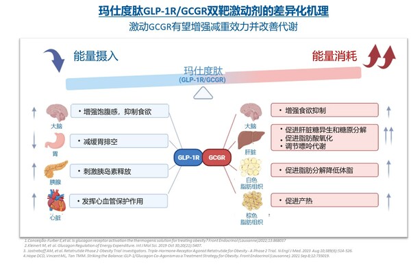 信达生物宣布玛仕度肽 (IBI362) 高剂量9 mg中国肥胖III期临床研究GLORY-2完成首例受试者给药
