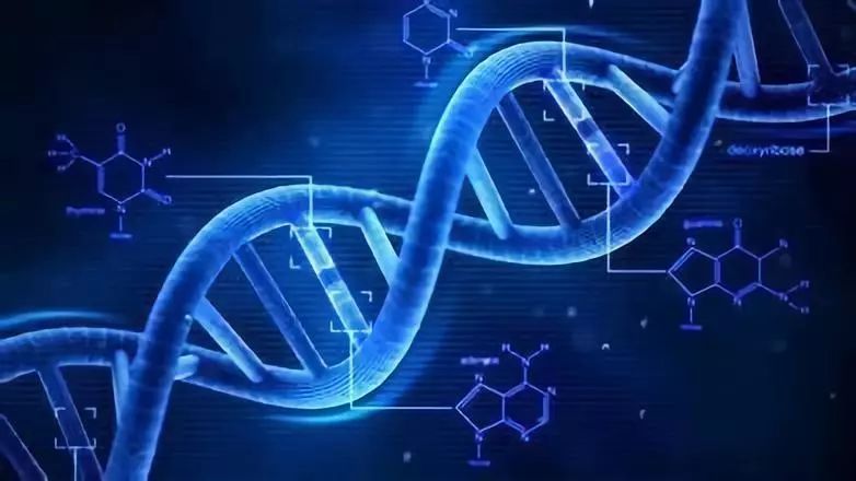 Parse Biosciences推出Evercode全转录组第3版，提升易用性和性能