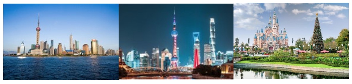 2024年3月7-8日·上海·2024（第四届）类器官大会—类器官与新药研发暨ISoOR 2024国际类器官高峰论坛-肽度TIMEDOO