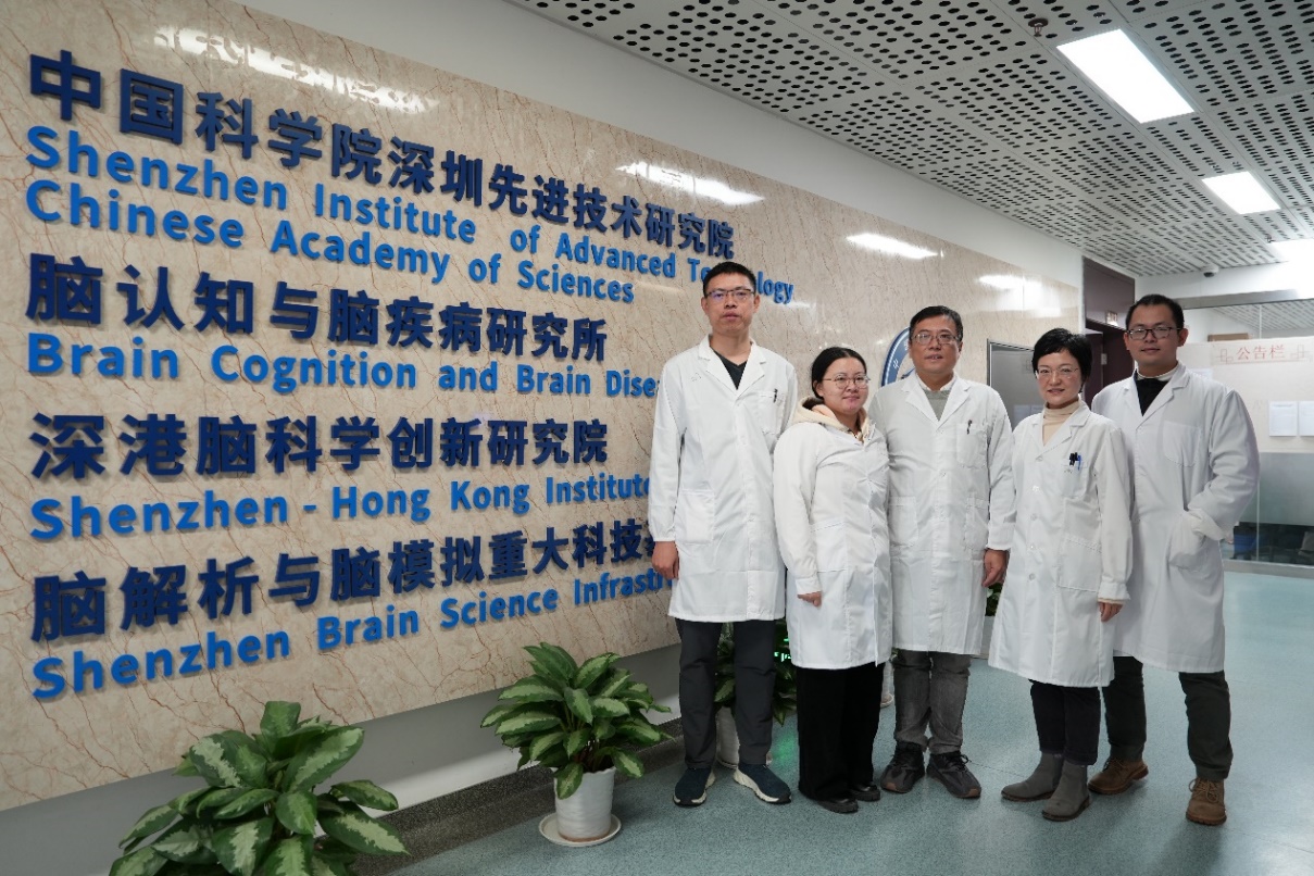 新型神经调控策略助力阿尔兹海默病治疗-肽度TIMEDOO