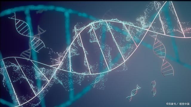 超小型编辑器实现动物高效基因编辑