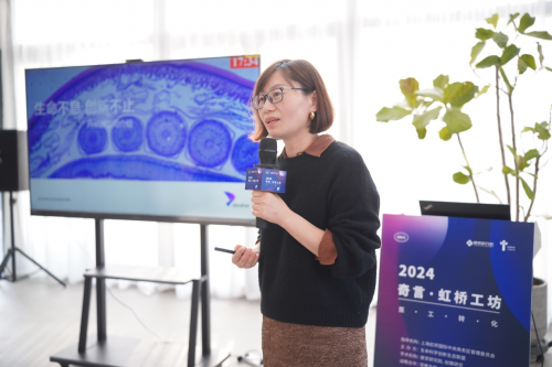 IDEA生命科学创新联盟 2024 沙龙首开| 医工融合,破局重生-肽度TIMEDOO