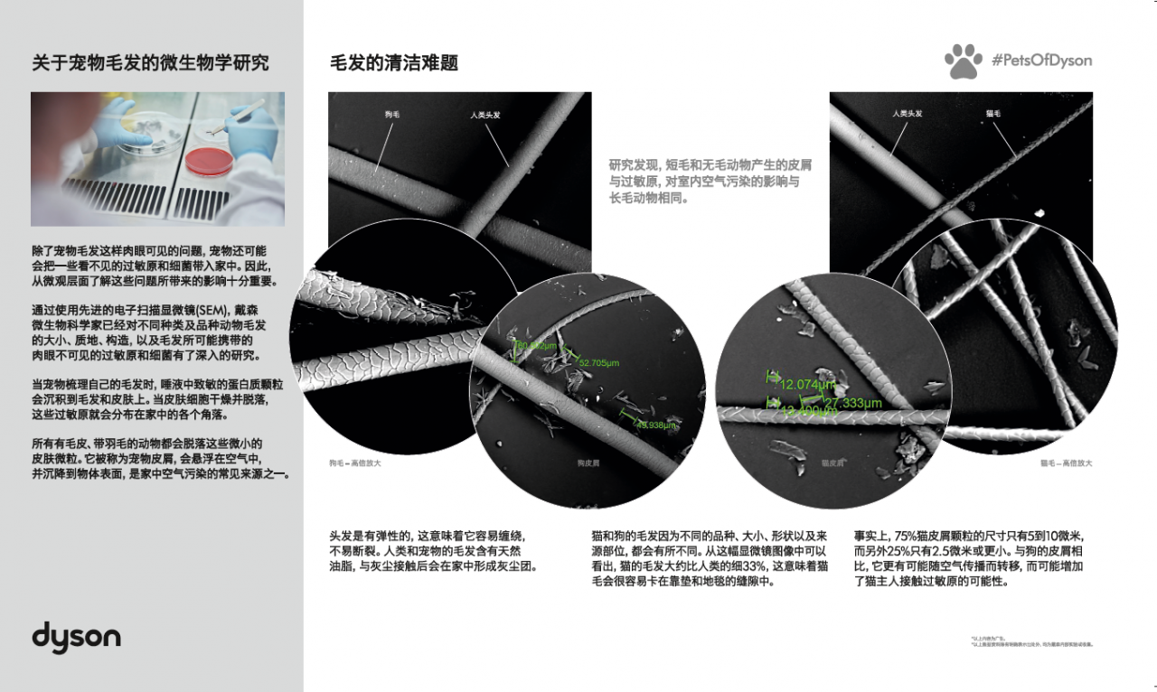 人宠关系变了,“家”也变了-肽度TIMEDOO