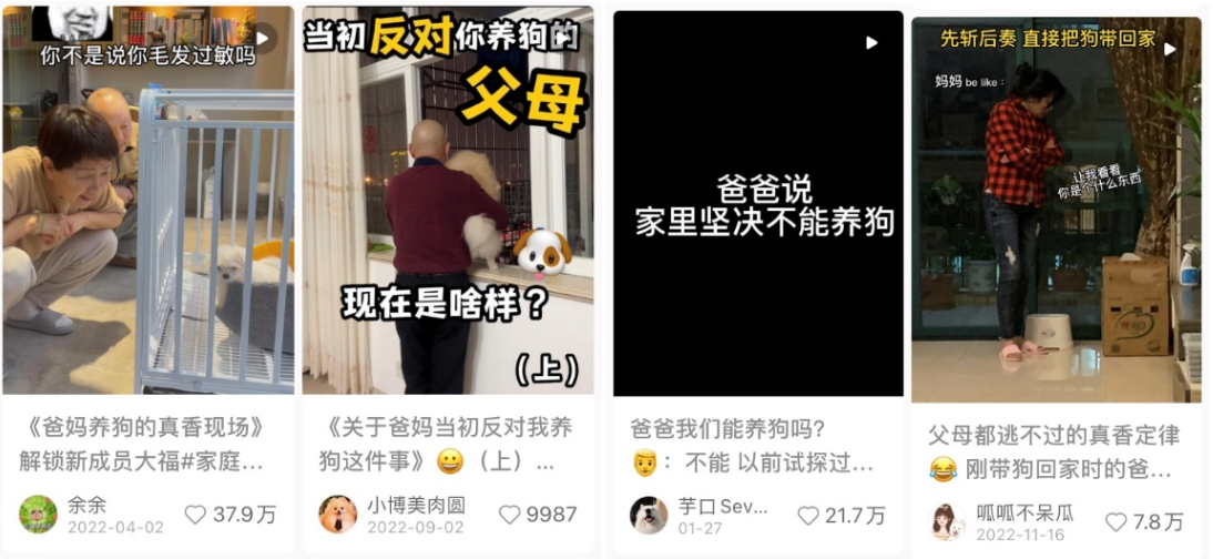 人宠关系变了,“家”也变了-肽度TIMEDOO