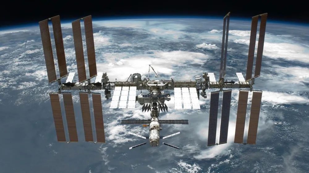 太空培养类器官能否成为“癌症登月计划”?-肽度TIMEDOO