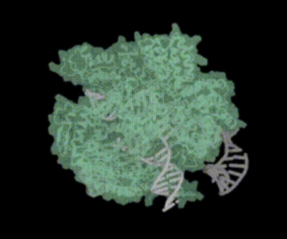 伟大突破！使用AI设计生物系统来编辑人类DNA，就像进行科学登月一样-肽度TIMEDOO