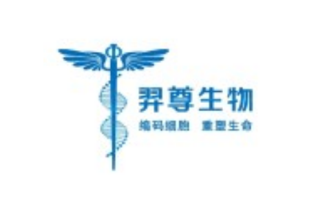 羿尊生物完成近亿元A+轮融资，专注实体肿瘤治疗及异体细胞通用型技术