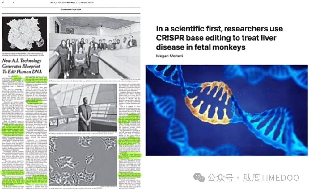 伟大突破！使用AI设计生物系统来编辑人类DNA，就像进行科学登月一样-肽度TIMEDOO