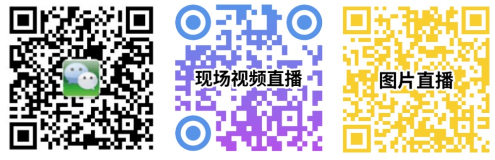 国际橡塑展闪耀开幕 规模再创新高 尽显看得见的新质生产力-肽度TIMEDOO