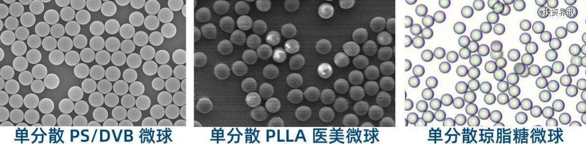 阿卡索生物完成数千万元Pre-A轮融资,德联资本领投-肽度TIMEDOO