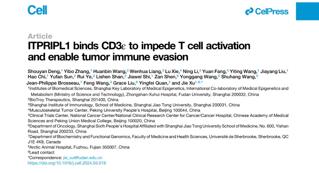 Cell发文！复旦上医许杰团队发现CD3L1免疫检查点，为肿瘤治疗带来新突破-肽度TIMEDOO