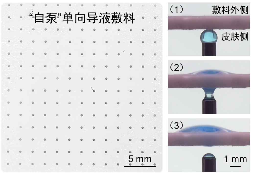我国科研人员开发出伤口黏液导出敷料