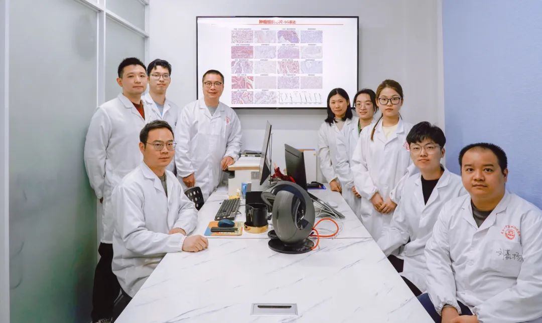 Cell发文！复旦上医许杰团队发现CD3L1免疫检查点，为肿瘤治疗带来新突破-肽度TIMEDOO