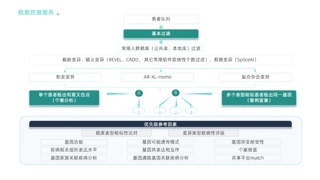 赛福基因完成亿元C轮融资，领跑遗传/罕见病精准防控与诊疗赛道-肽度TIMEDOO
