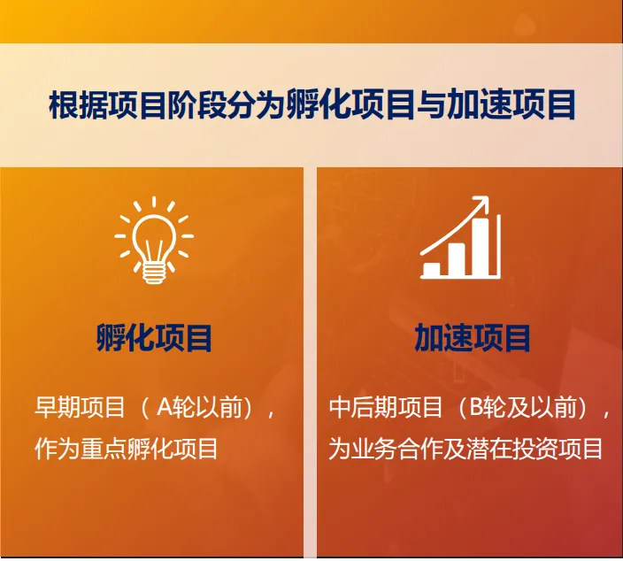 集结生命时代领跑者,2024XGI生命健康加速营开启招募!-肽度TIMEDOO