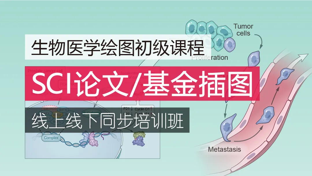 2024年6月22-23日（周六日）SCI论文/基金插图培训班(线上线下同步)