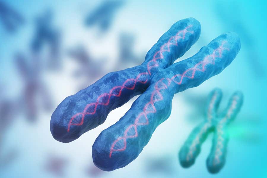 自身免疫性疾病与X染色体基因重新激活有关