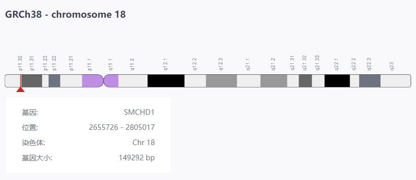 面肩肱型肌营养不良症——折翼的小飞侠-肽度TIMEDOO