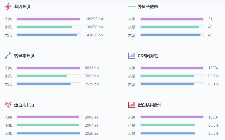 面肩肱型肌营养不良症——折翼的小飞侠-肽度TIMEDOO