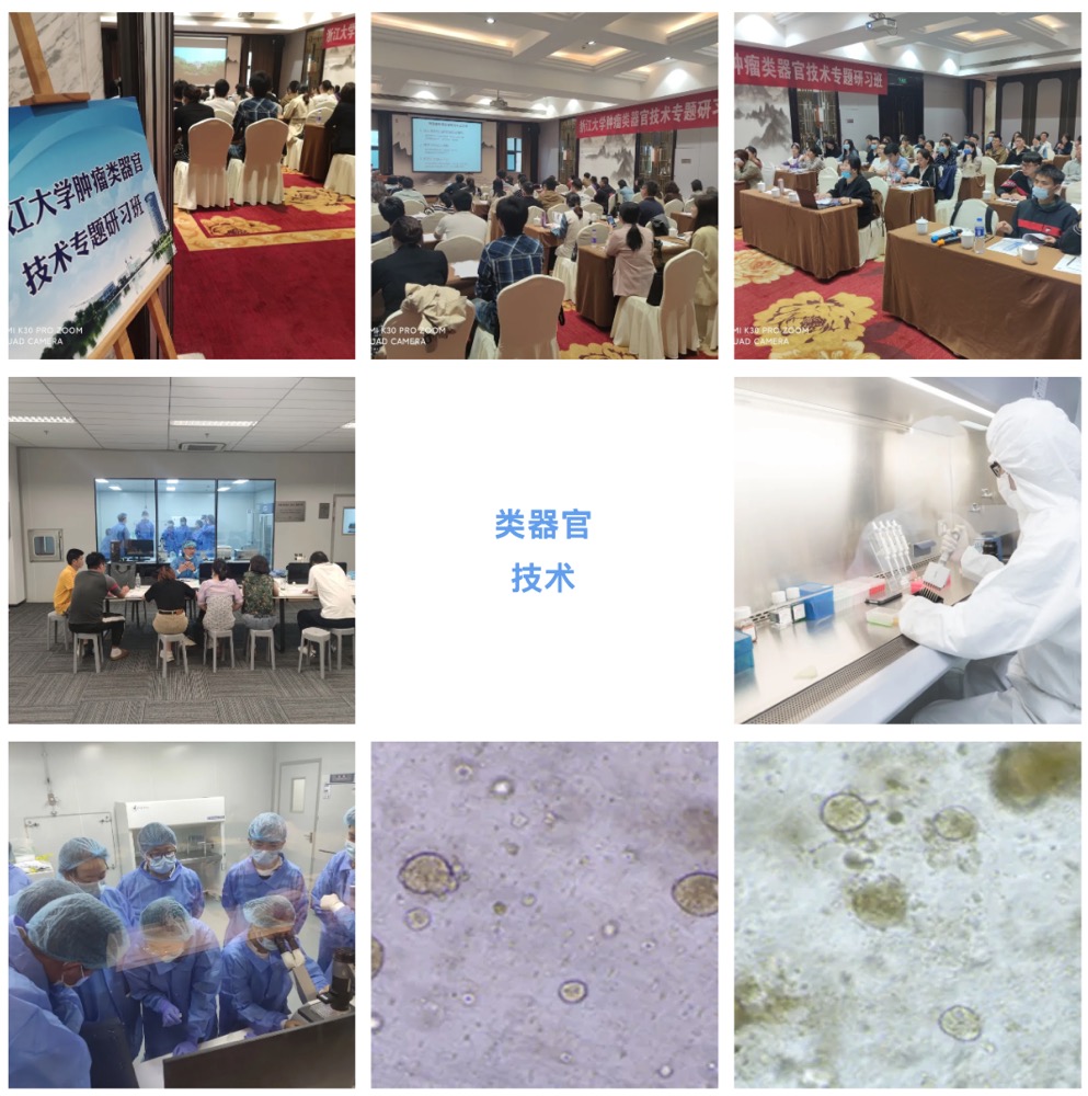 2024年7月18-21日·浙江大学第8期类器官技术专题研习班-肽度TIMEDOO