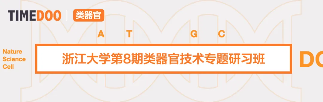2024年7月18-21日·浙江大学第8期类器官技术专题研习班-肽度TIMEDOO