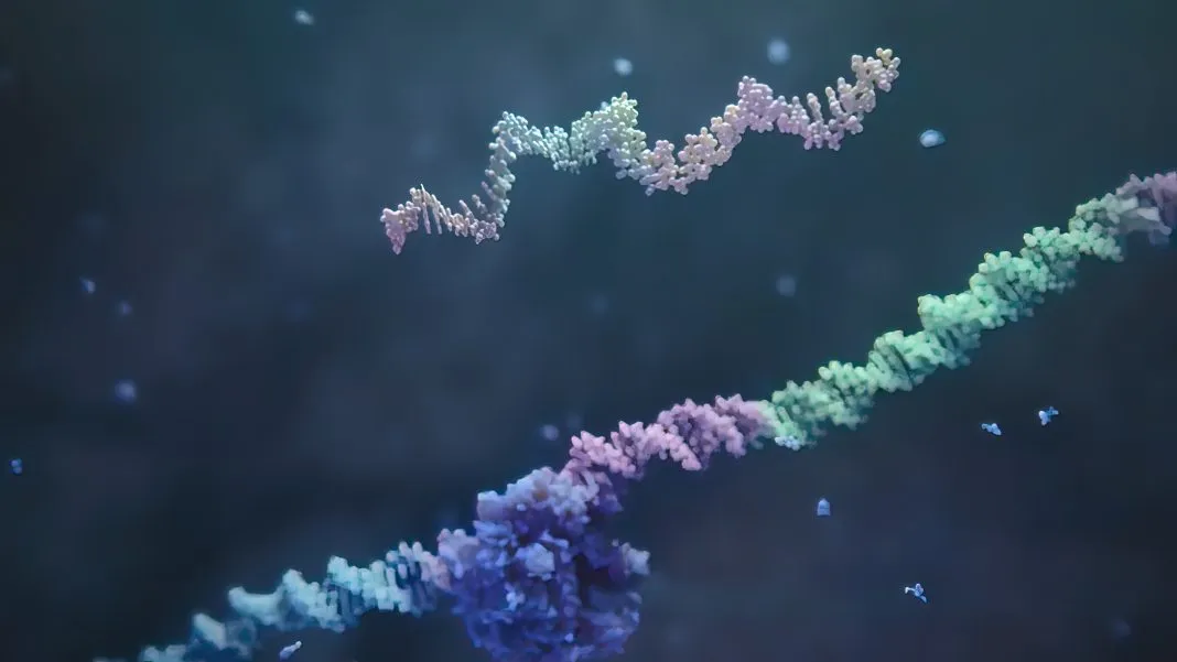 MIT科学家发明单细胞新生RNA测序新技术