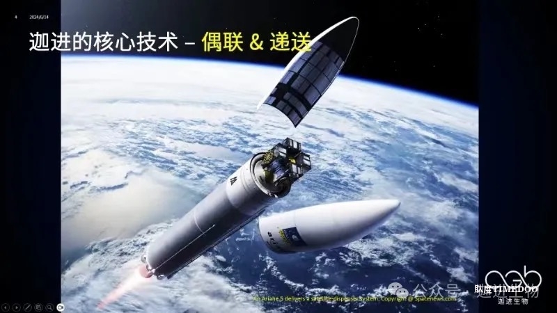 迦进生物完成新一轮融资，继续引领药物递送的新篇章-肽度TIMEDOO