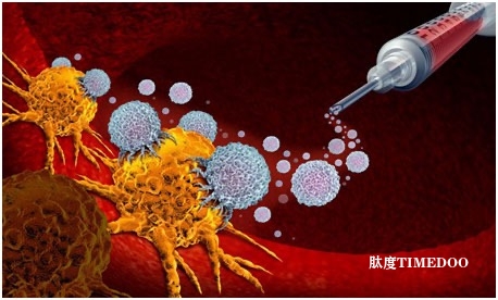 新型靶向造影剂为精准治疗胰腺癌助力