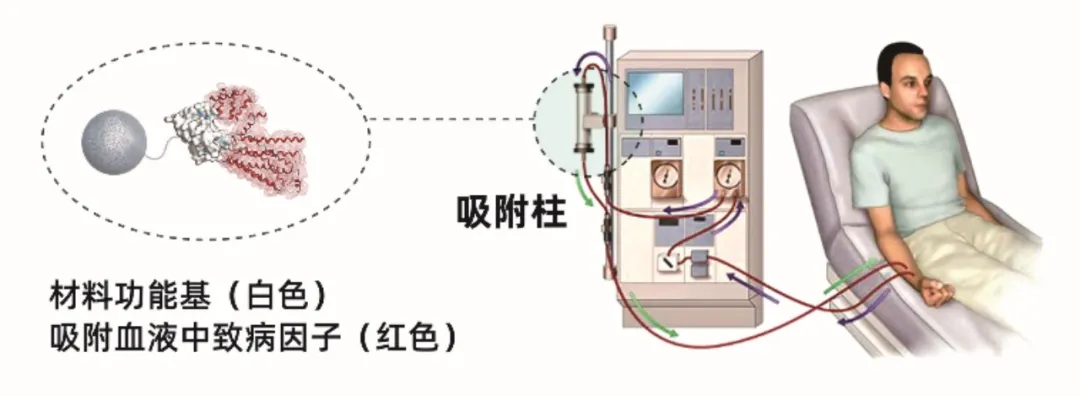 康元医疗完成数千万元融资，道彤投资领投，助力企业打造国内领先的创新选择性材料产业化平-肽度TIMEDOO