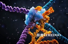 比现有技术更有优势 “RNA桥”新基因编辑技术问世