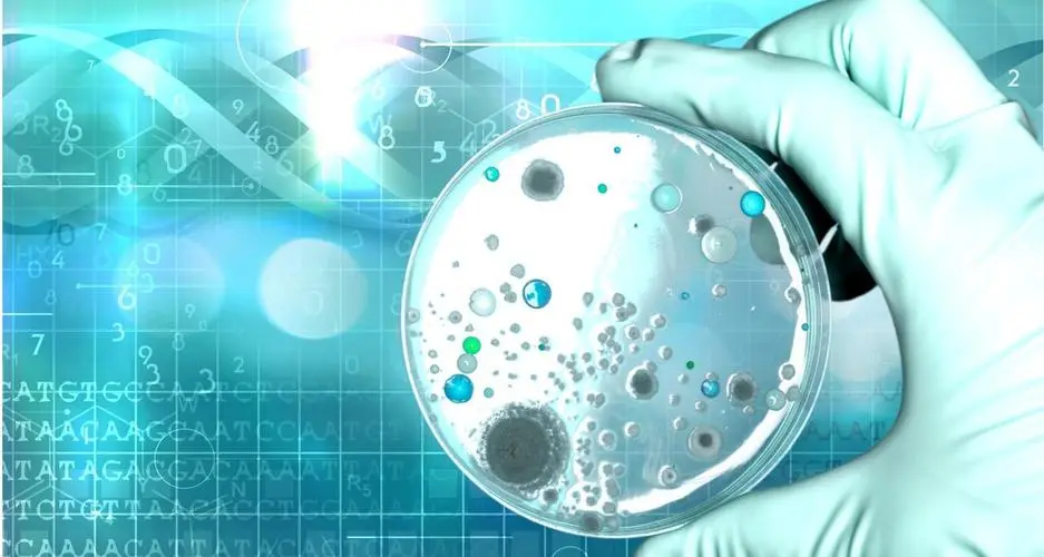 摩根大通完成首支生物技术基金募资