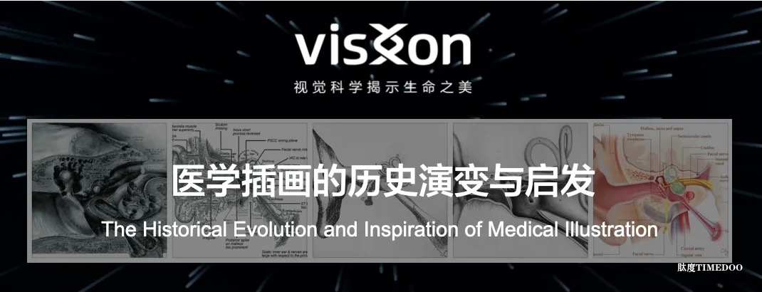 Visxon:医学插画的历史演变与启发-肽度TIMEDOO