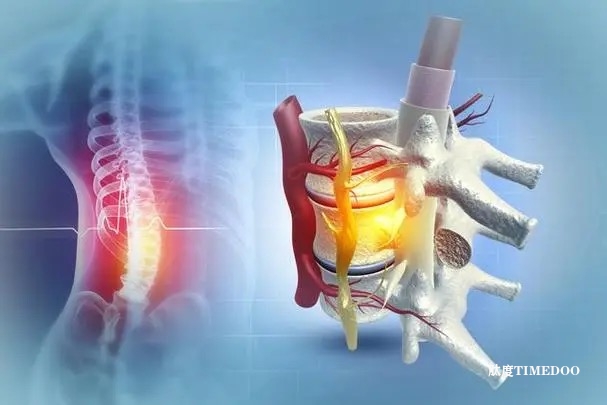 开源项目绘制脊髓损伤超清生物学图谱