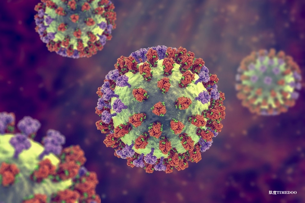 流感疫苗可保护非人类灵长类动物免受禽流感H5N1病毒感染