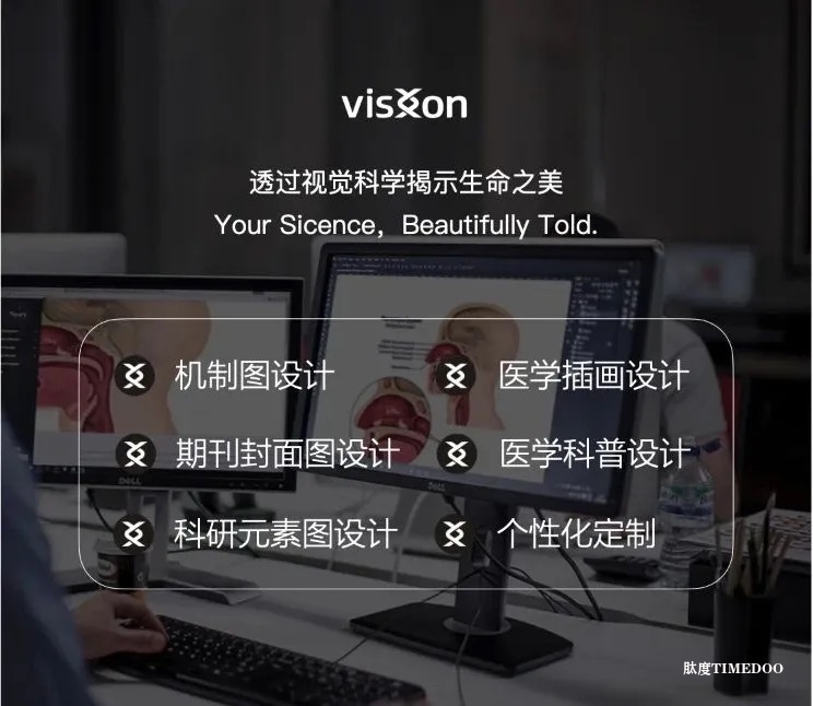 Visxon:医学插画的历史演变与启发-肽度TIMEDOO
