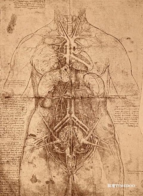 Visxon:医学插画的历史演变与启发-肽度TIMEDOO