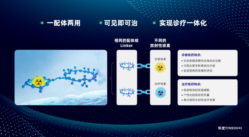 晶核生物完成A轮融资,加快靶向核药全球临床研发-肽度TIMEDOO
