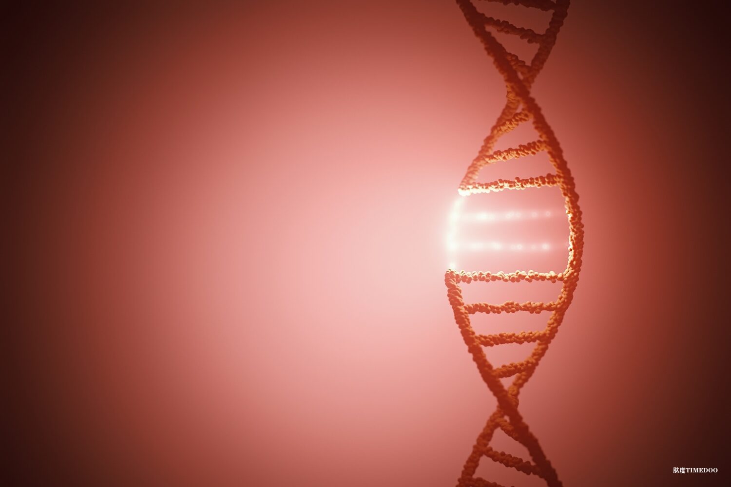 DNA折纸术助力癌症治疗：卡罗林斯卡学院开发精准纳米机器人