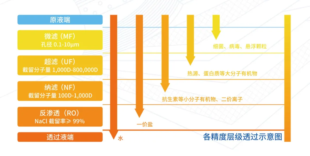 山东博纳生物宣布完成A轮融资,融资总额近亿元人民币-肽度TIMEDOO