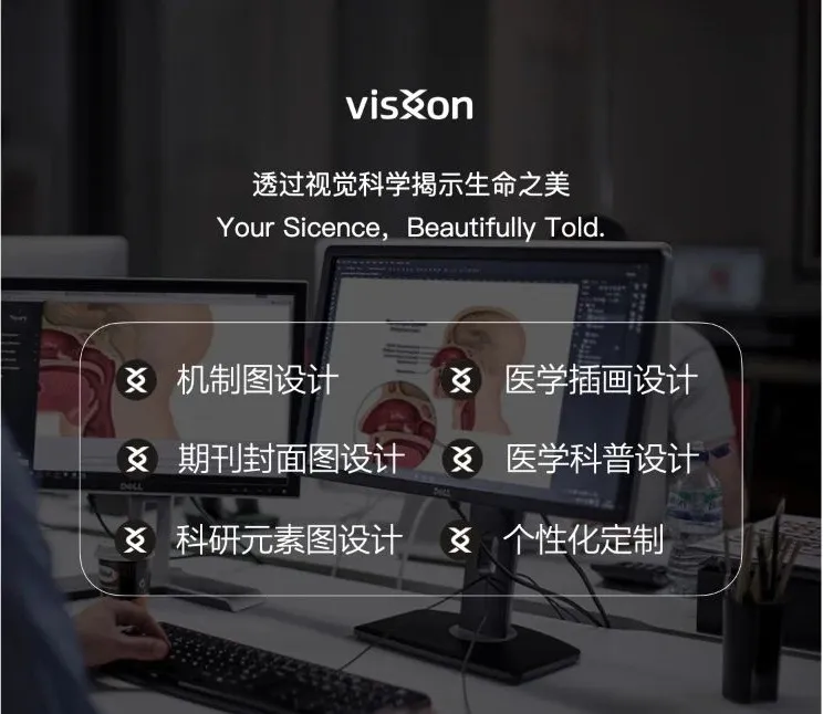 一图读懂|从艺术角度盘点10张“肺癌”高水平机制图-肽度TIMEDOO