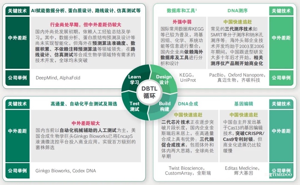 中外合成生物学技术差距:识别关键领域与追赶路径-肽度TIMEDOO