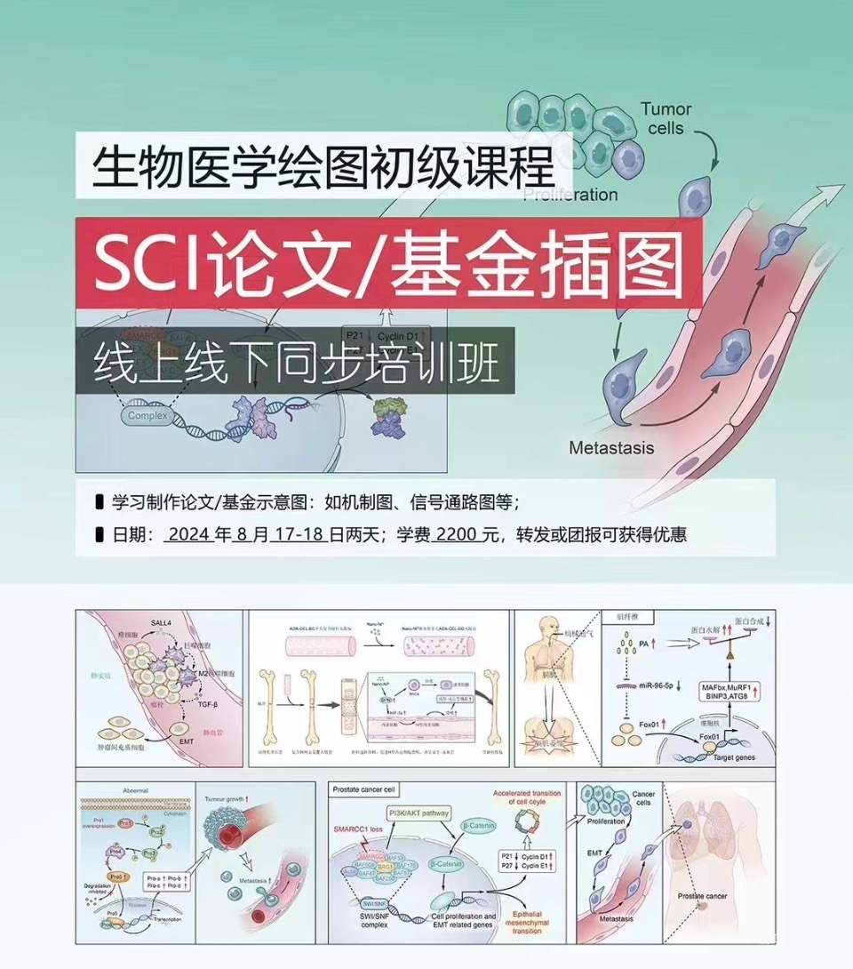 8月17-18日·广州·生物医学绘图初级课程|SCI论文/基金插图【线上线下】-肽度TIMEDOO