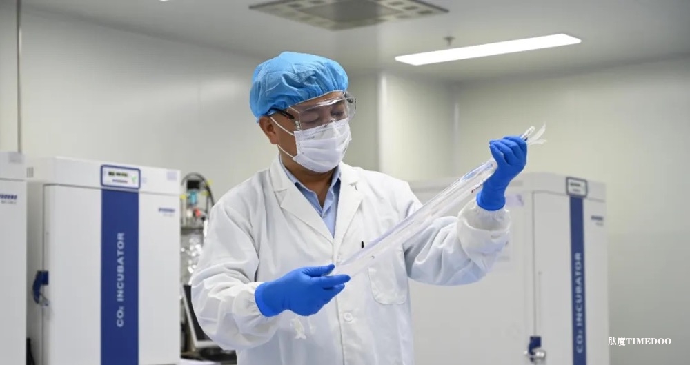 海迈医疗完成A轮融资，启动国产小口径人工血管的上市前临床试验