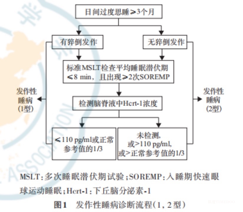 白天睡+鬼压床,无关懒或鬼,可能患了这种病!-肽度TIMEDOO