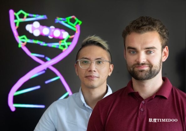 新型DNA靶向疗法筛选技术-肽度TIMEDOO