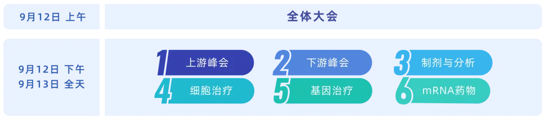 BioCMC2024第八届百世生物药CMC技术创新大会-肽度TIMEDOO