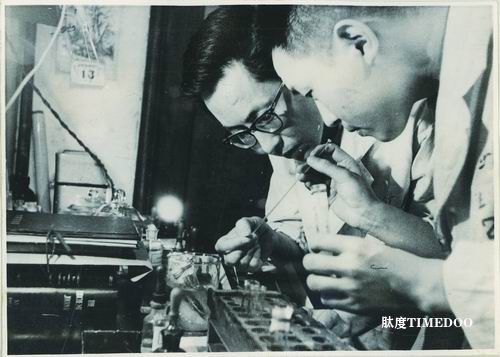 世界首次人工合成蛋白质——牛胰岛素“攻关记”-肽度TIMEDOO